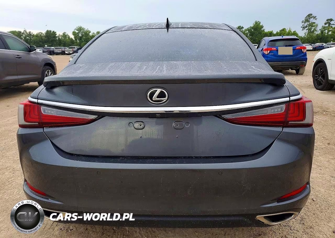 2022 Lexus Es 350 Ultra Luxury VIN:58AFZ1B12NU134444 - 6