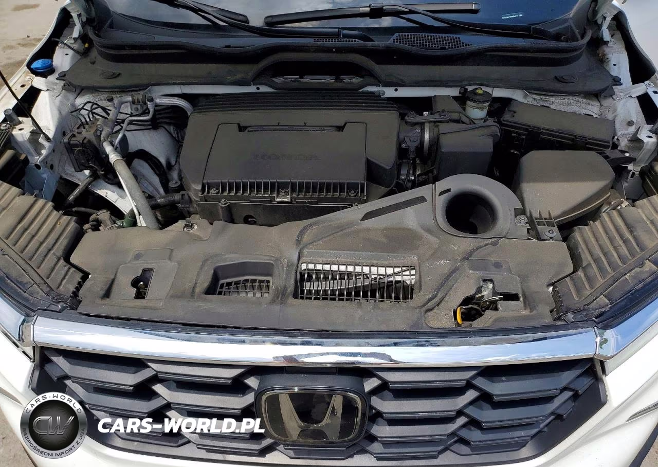 2024 Honda Pilot Exl VIN:5FNYG1H41RB004715 - 12