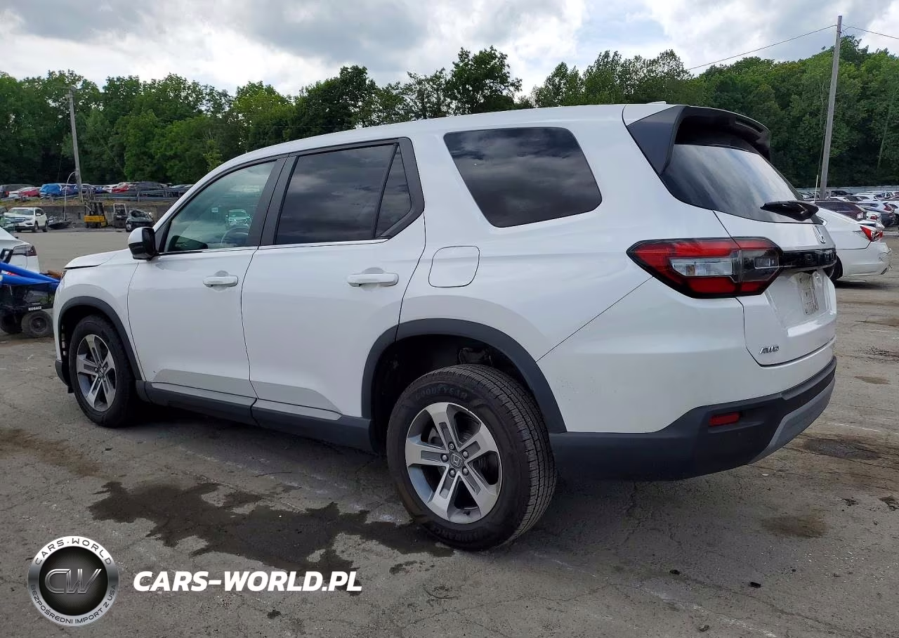 2024 Honda Pilot Exl VIN:5FNYG1H41RB004715 - 2