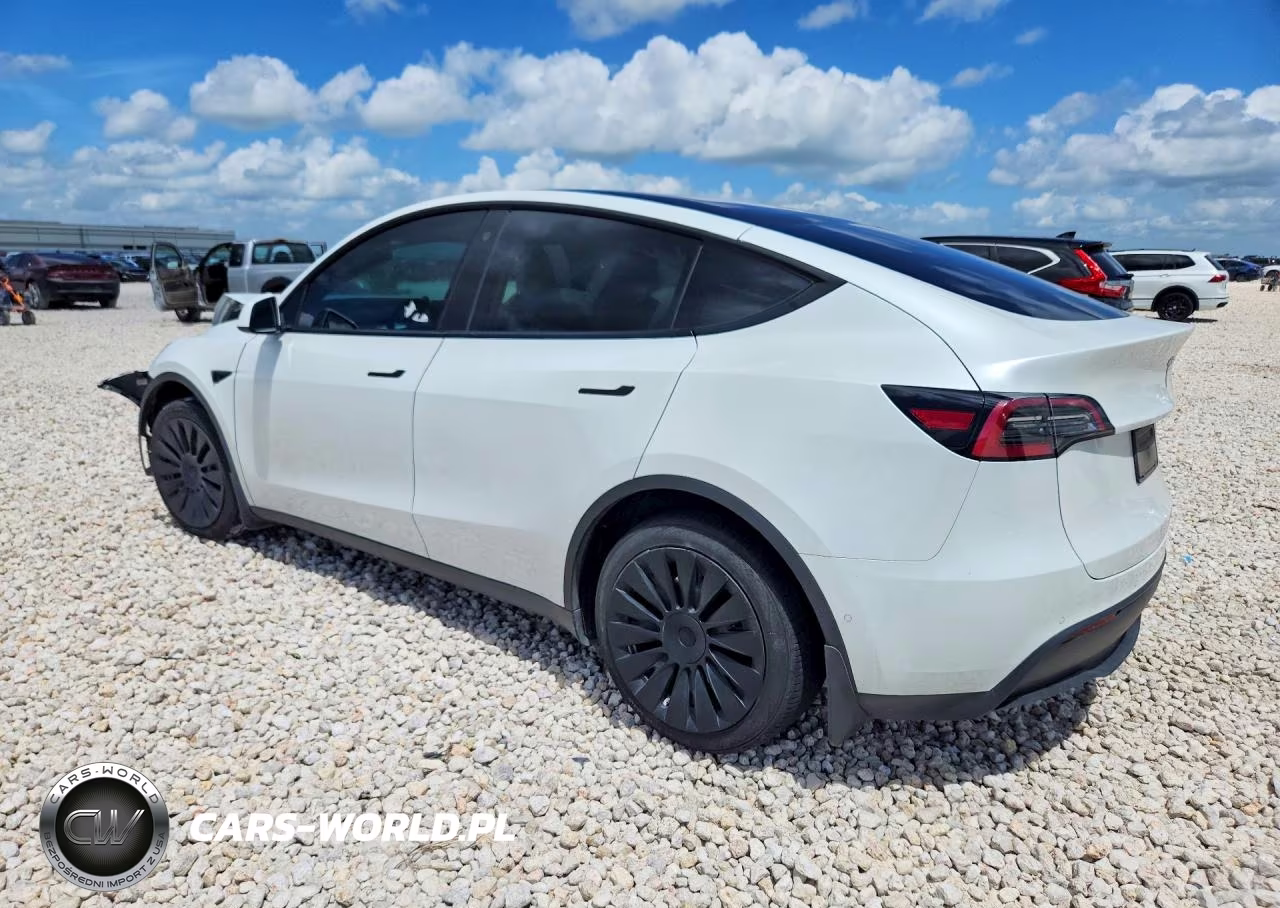2021 Tesla Model Y VIN:5YJYGDEE8MF303982 - 2