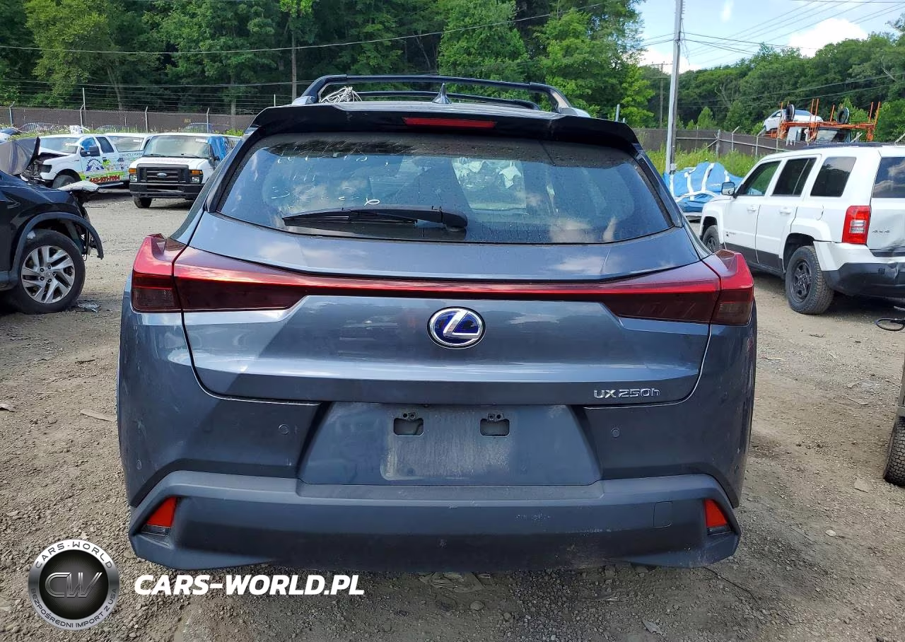 2022 Lexus Ux 250H Base VIN:JTHP9JBH2N2061647 - 6