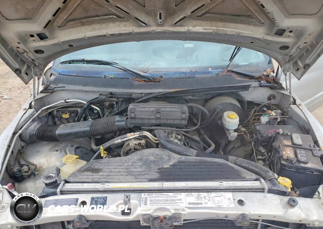 1999 Dodge Ram 1500 VIN:3B7HC12Y5XG130462 - 11
