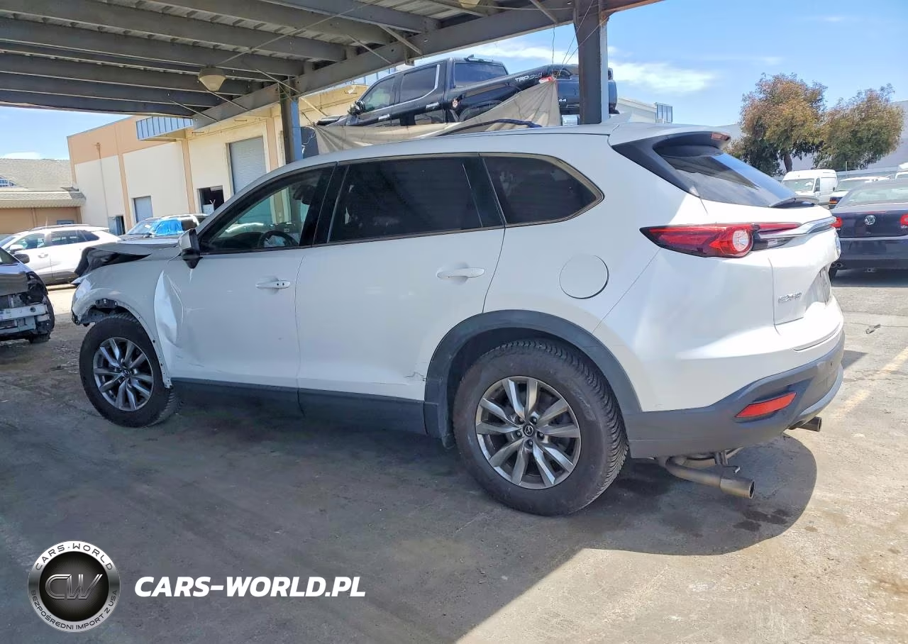 2016 Mazda Cx-9 Touring VIN:JM3TCACY1G0123819 - 2