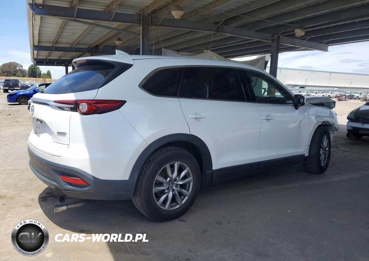 2016 Mazda Cx-9 Touring VIN:JM3TCACY1G0123819 - 3