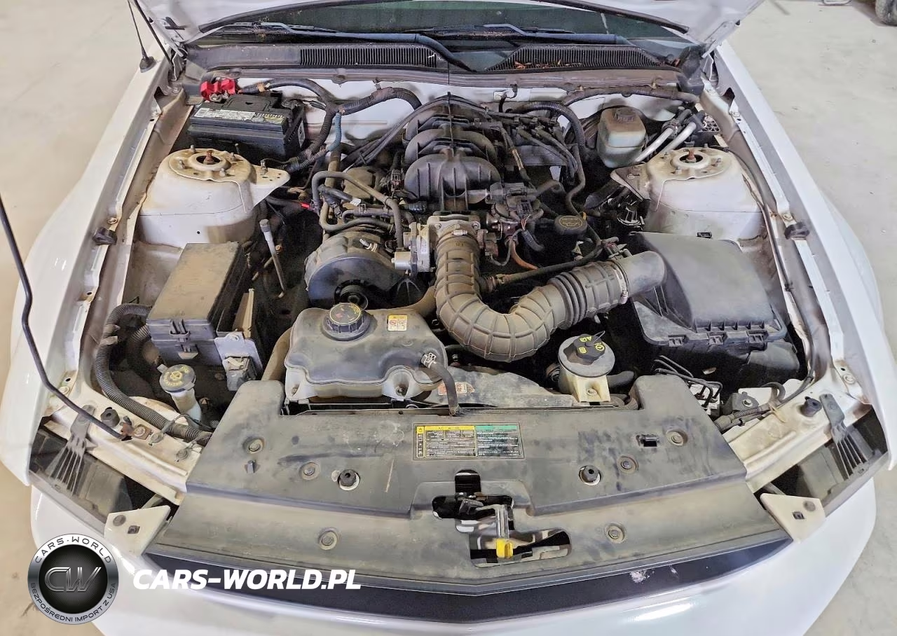 2005 Ford Mustang VIN:1ZVFT84N555199494 - 11