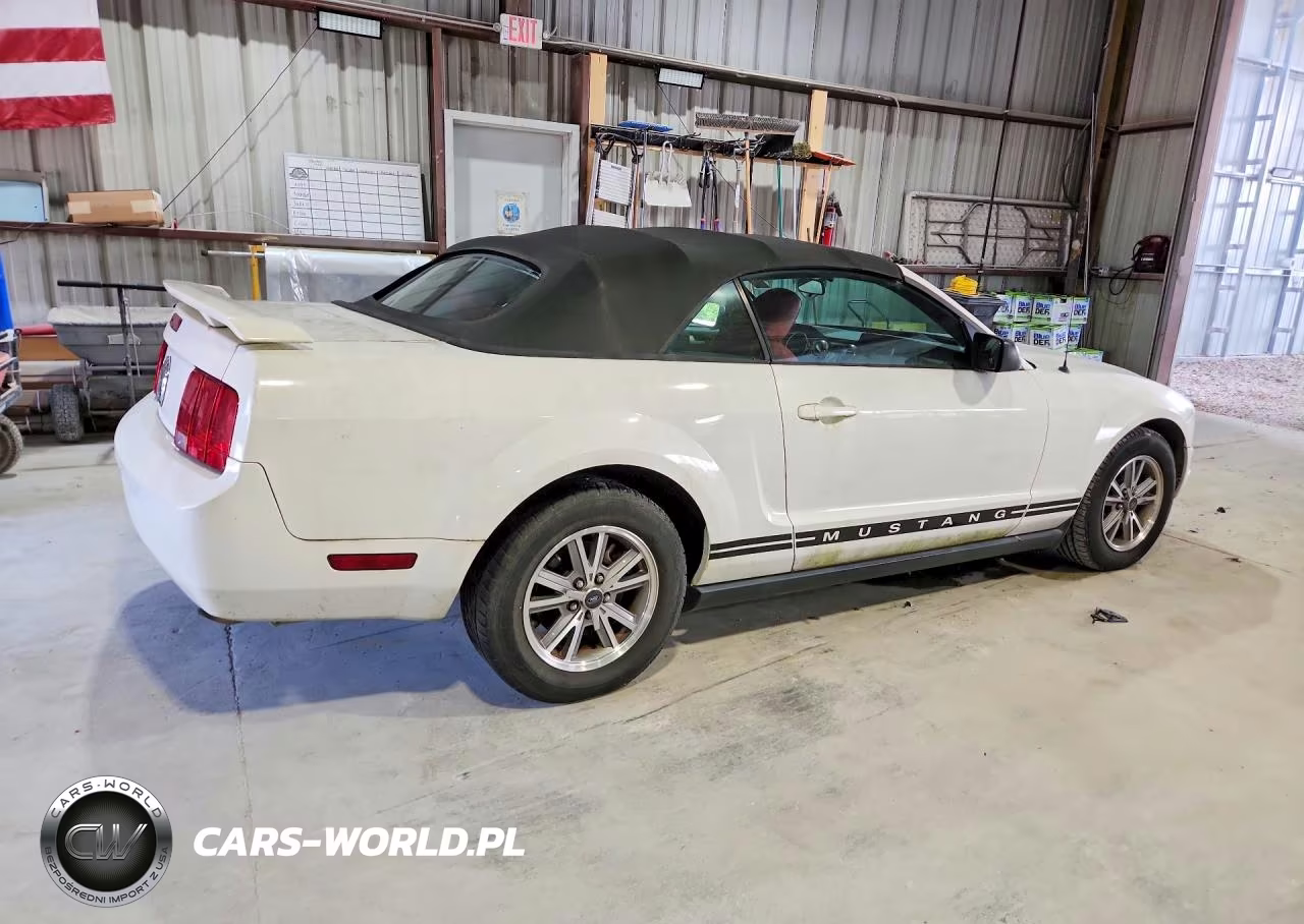 2005 Ford Mustang VIN:1ZVFT84N555199494 - 3