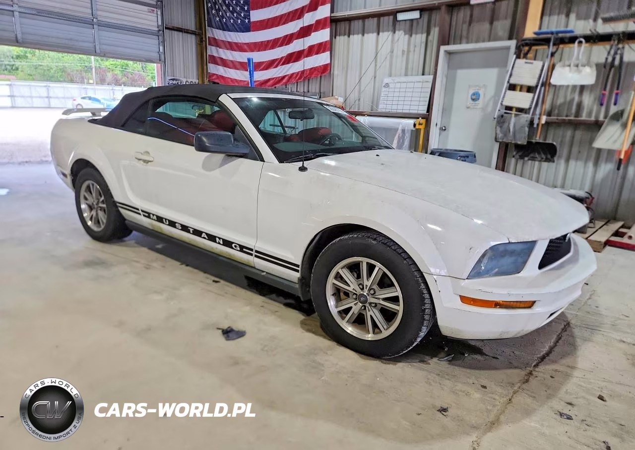 2005 Ford Mustang VIN:1ZVFT84N555199494 - 4