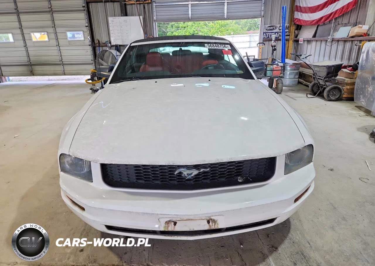 2005 Ford Mustang VIN:1ZVFT84N555199494 - 5