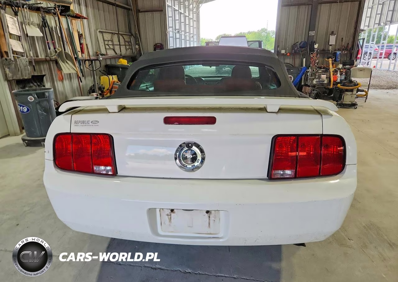 2005 Ford Mustang VIN:1ZVFT84N555199494 - 6