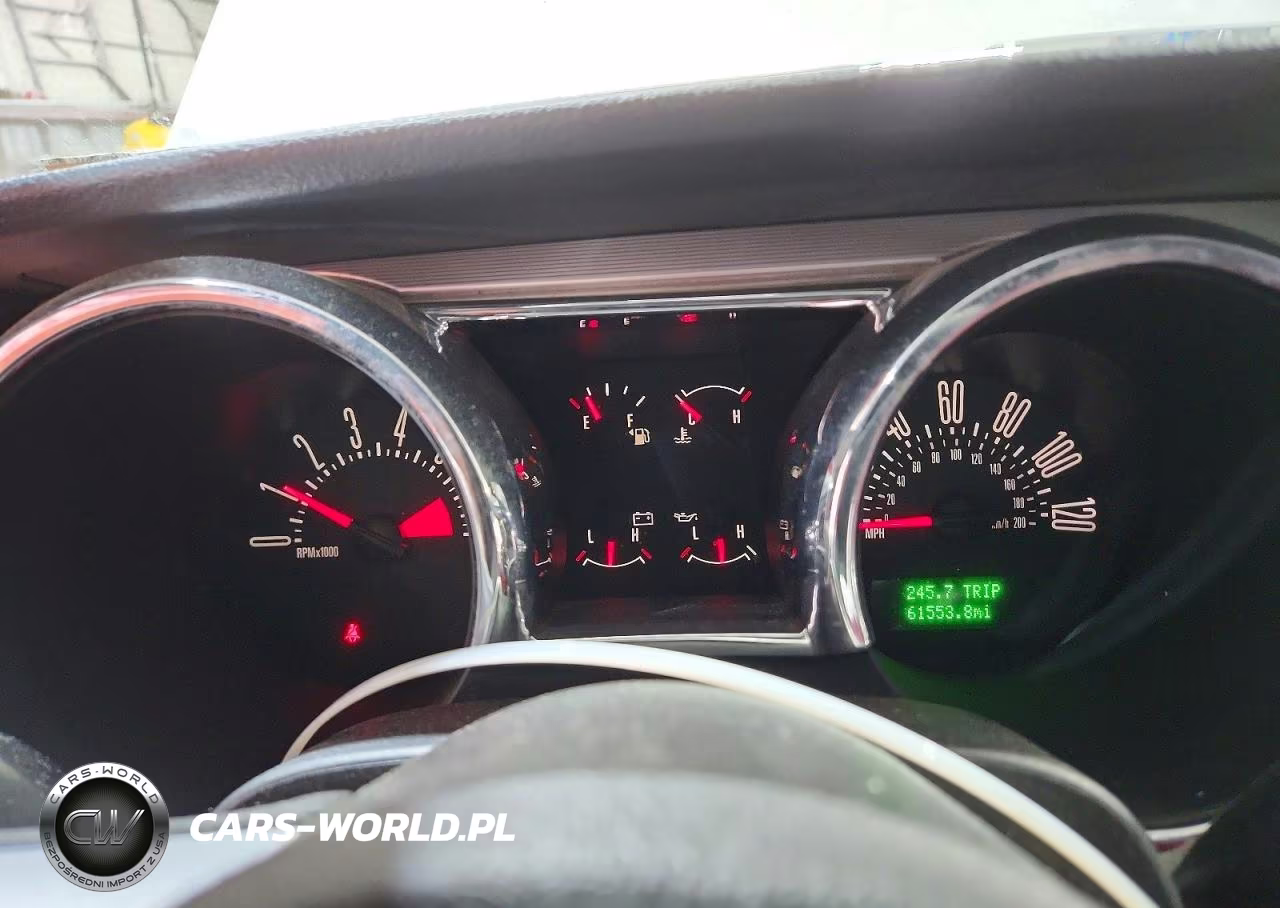 2005 Ford Mustang VIN:1ZVFT84N555199494 - 9