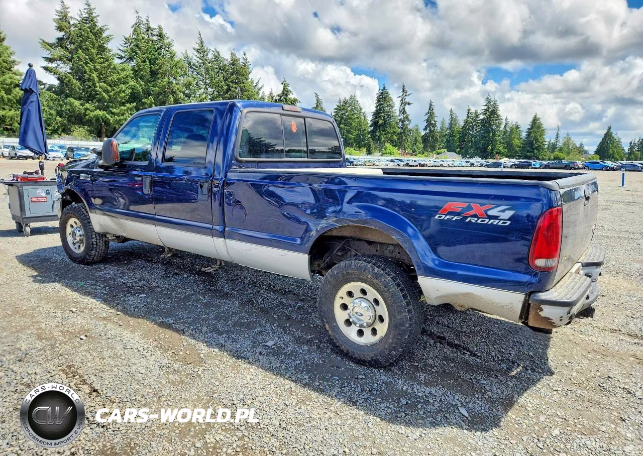 2006 Ford F250 Super Duty VIN:1FTSW21Y66EC29110 - 2