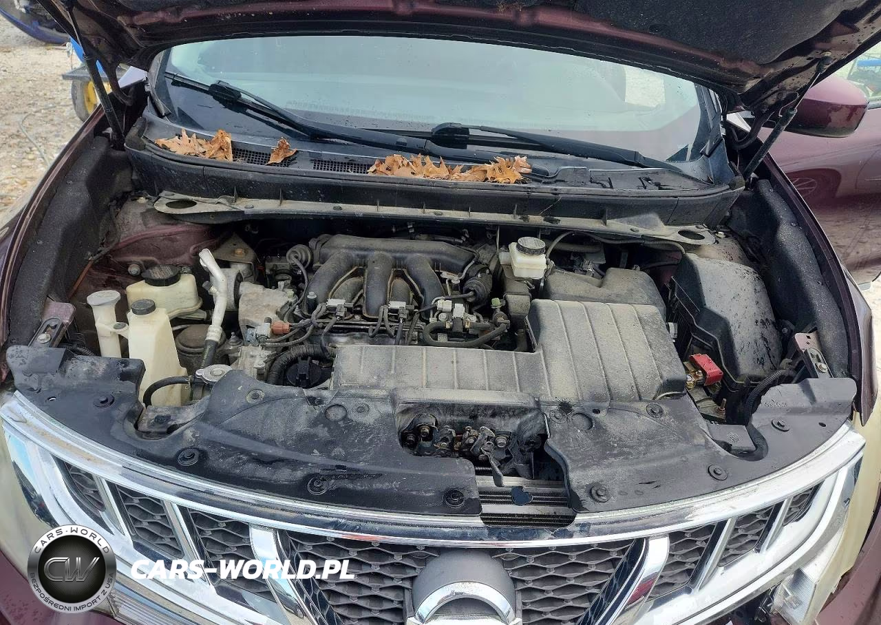 2013 Nissan Murano S VIN:JN8AZ1MW8DW312430 - 12