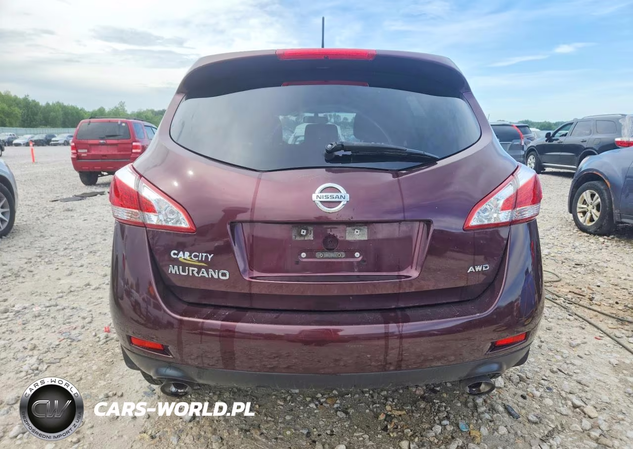 2013 Nissan Murano S VIN:JN8AZ1MW8DW312430 - 6