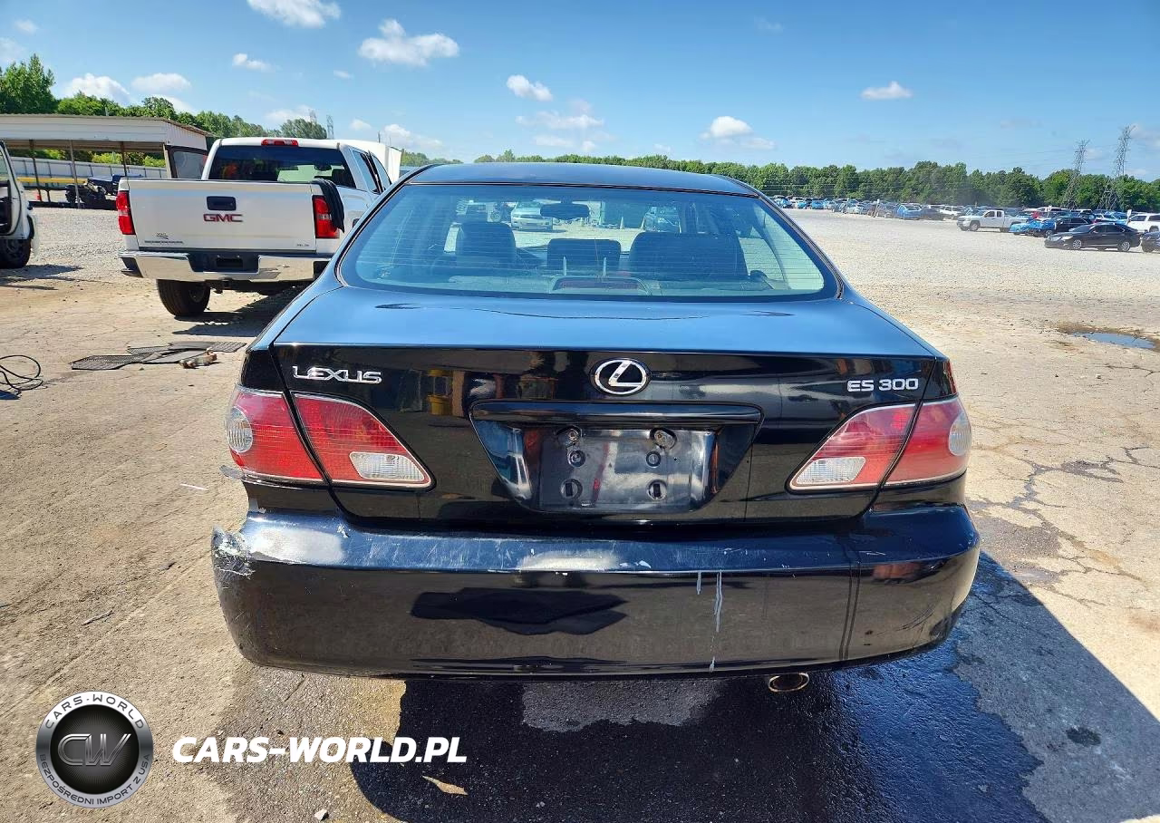 2002 Lexus Es 300 VIN:JTHBF30G420066669 - 6