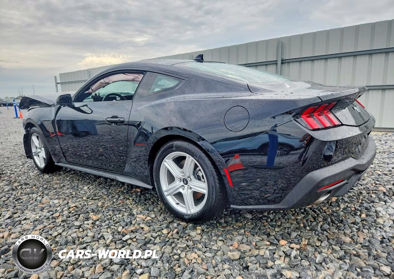 2026 Ford Mustang VIN:1FA6P8THXT5109312 - 2