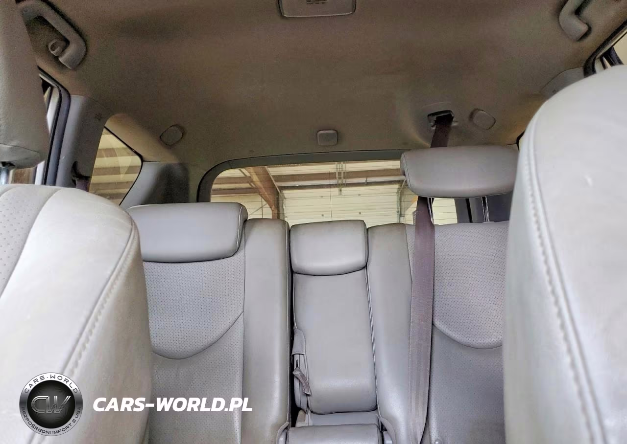 2008 Toyota Rav4 Limited VIN:JTMBD31V685195366 - 10