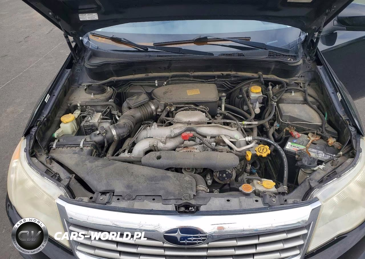 2010 Subaru Forester 2.5X Premium VIN:JF2SH6CC6AH776633 - 11
