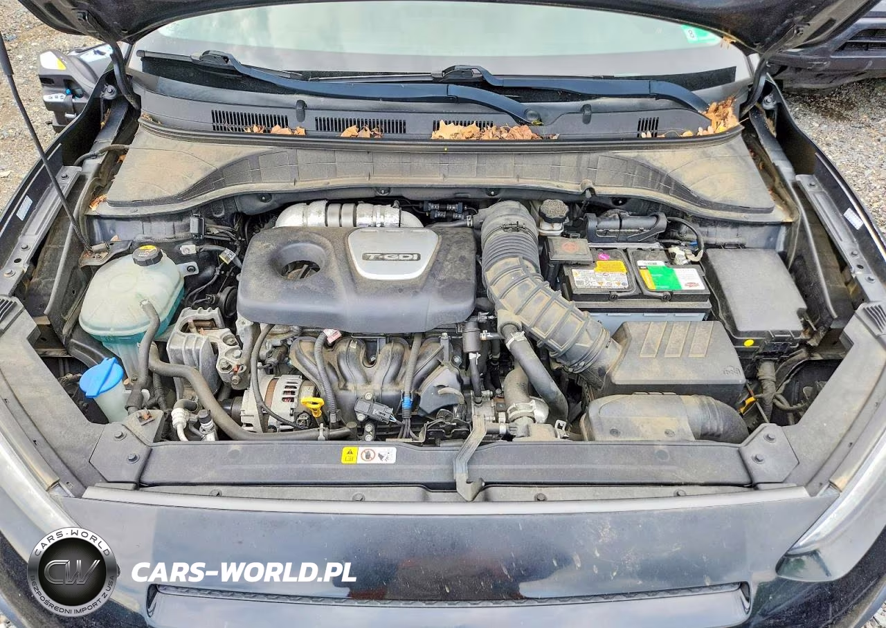 2018 Hyundai Kona Limited VIN:KM8K33A55JU137596 - 12