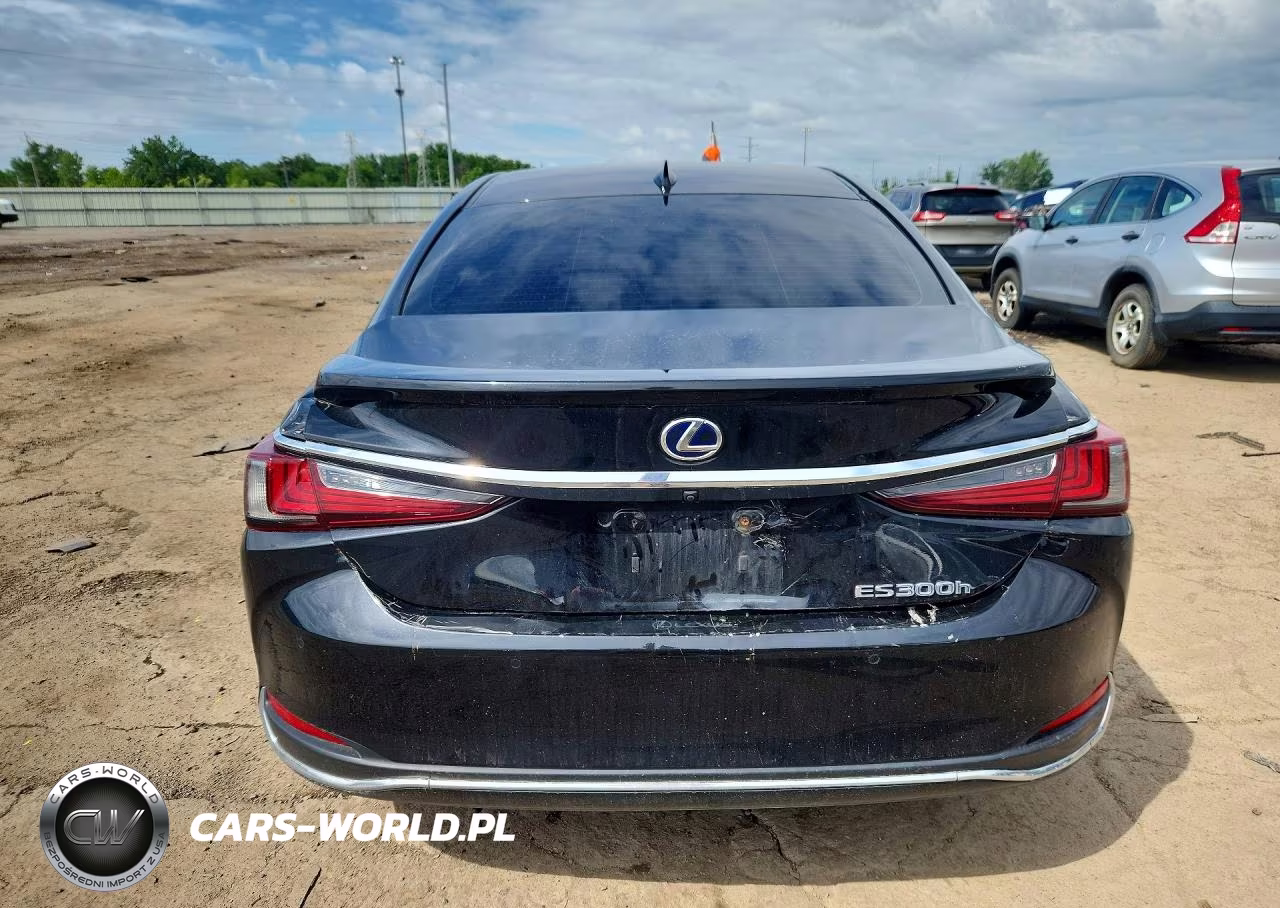 2019 Lexus Es 300H VIN:58AB21B10KU002278 - 6