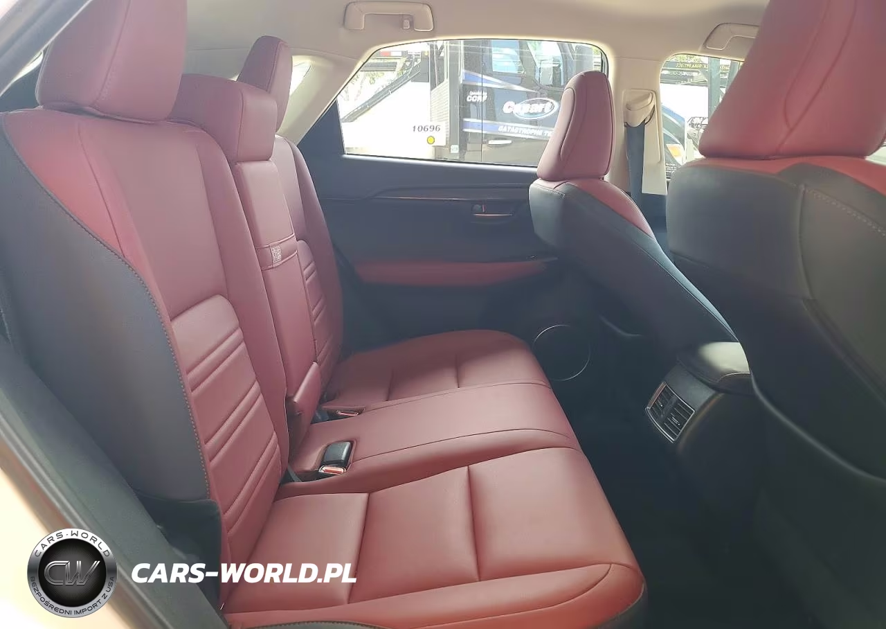 2020 Lexus Nx 300 Base VIN:JTJAARBZ9L5018826 - 10