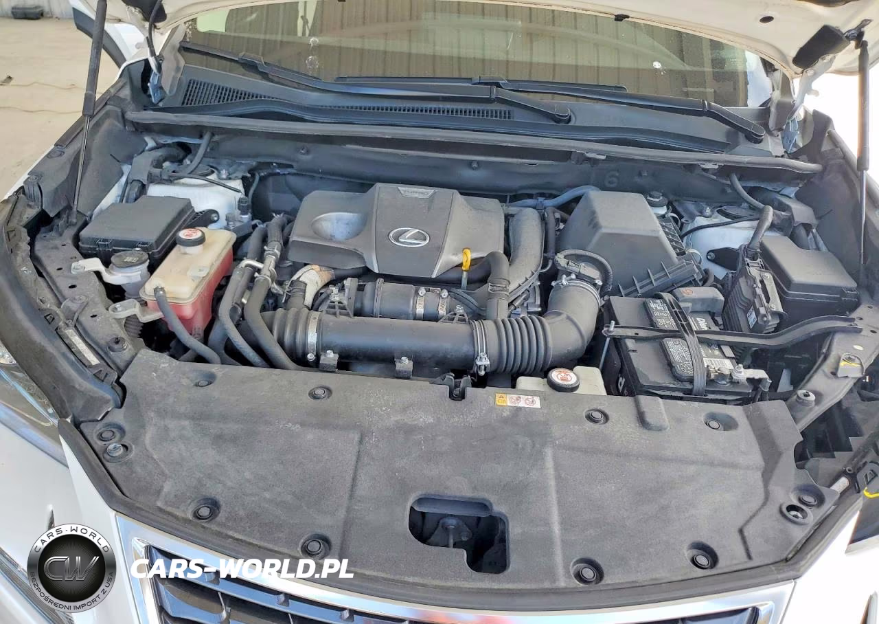 2020 Lexus Nx 300 Base VIN:JTJAARBZ9L5018826 - 11
