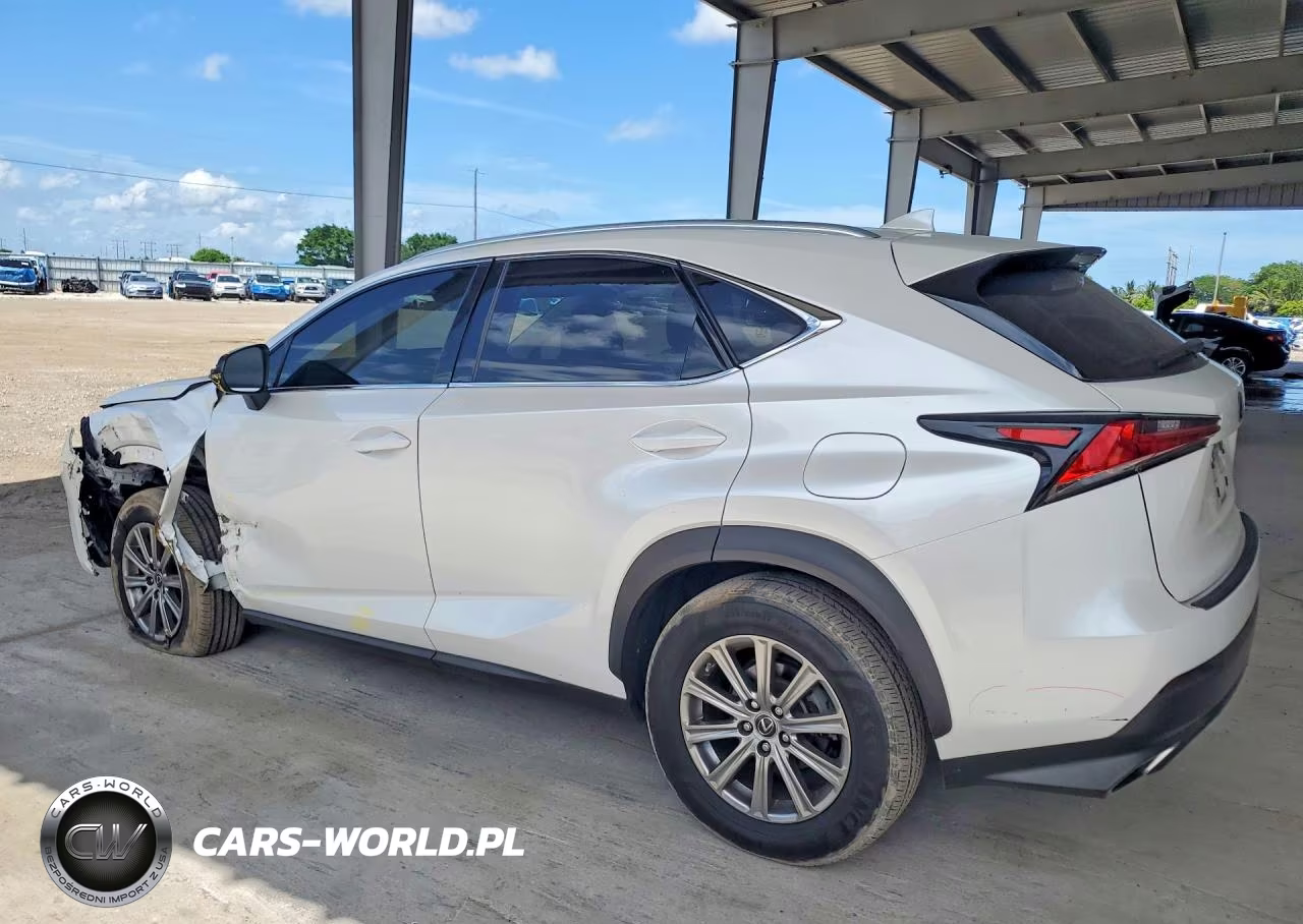 2020 Lexus Nx 300 Base VIN:JTJAARBZ9L5018826 - 2