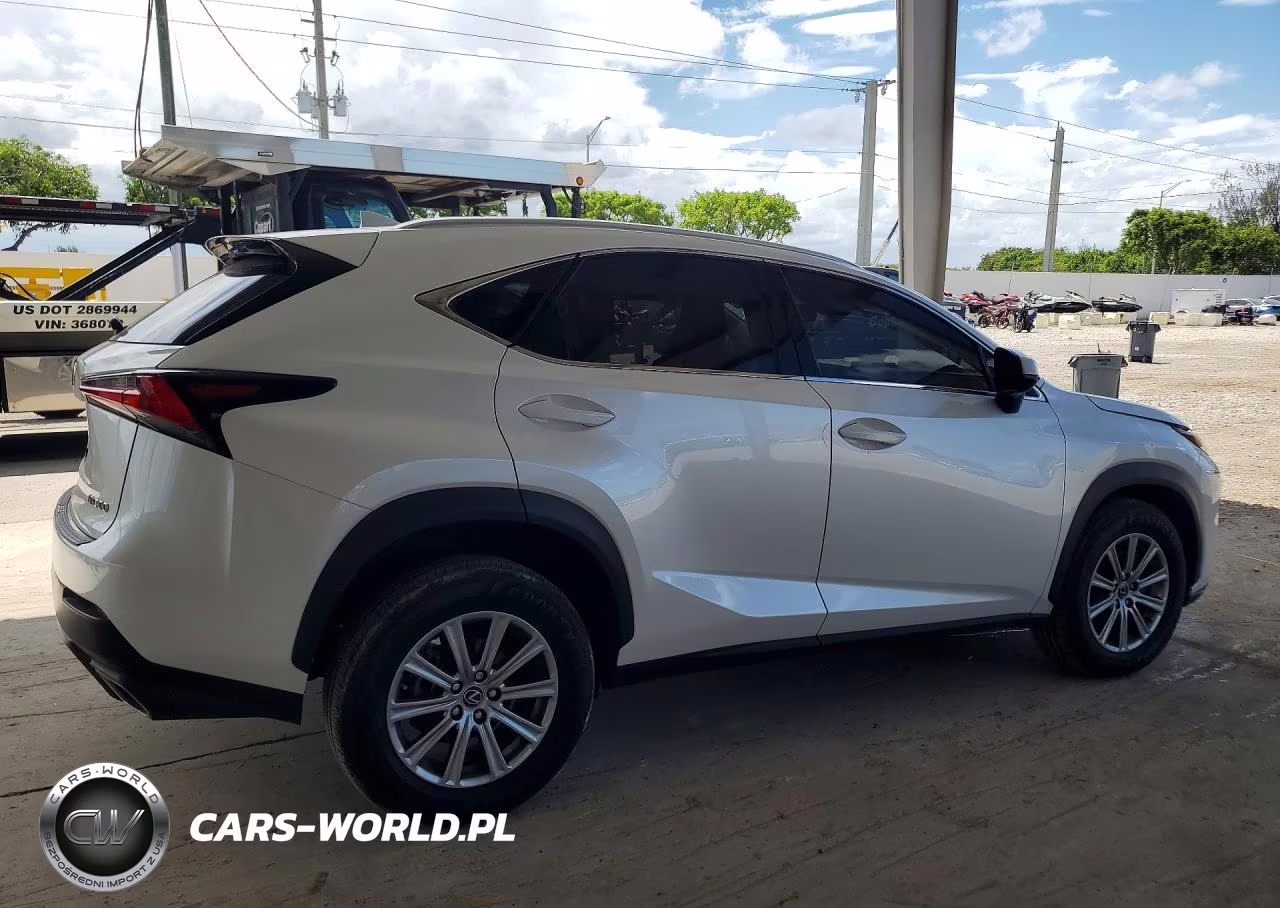 2020 Lexus Nx 300 Base VIN:JTJAARBZ9L5018826 - 3