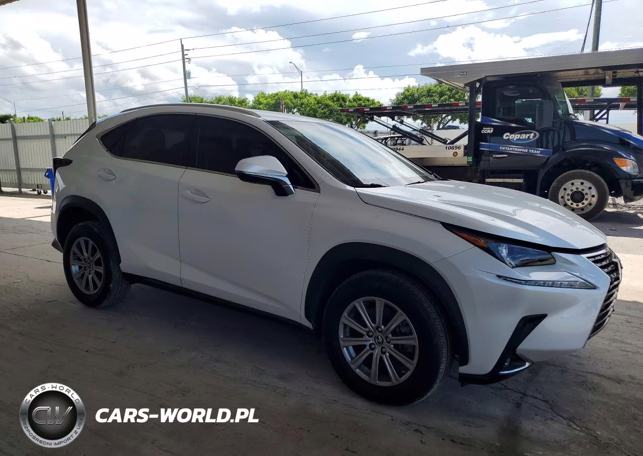 2020 Lexus Nx 300 Base VIN:JTJAARBZ9L5018826 - 4