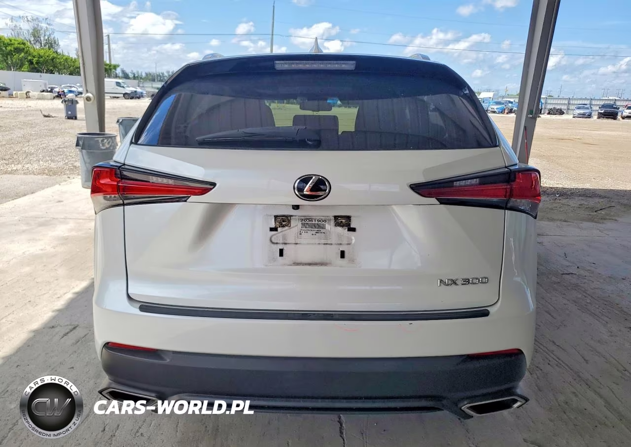 2020 Lexus Nx 300 Base VIN:JTJAARBZ9L5018826 - 6