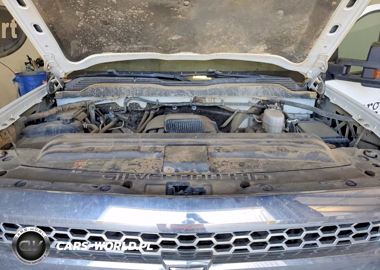 2019 Chevrolet Silverado K2500 Heavy Duty VIN:1GC1KREG6KF135993 - 11