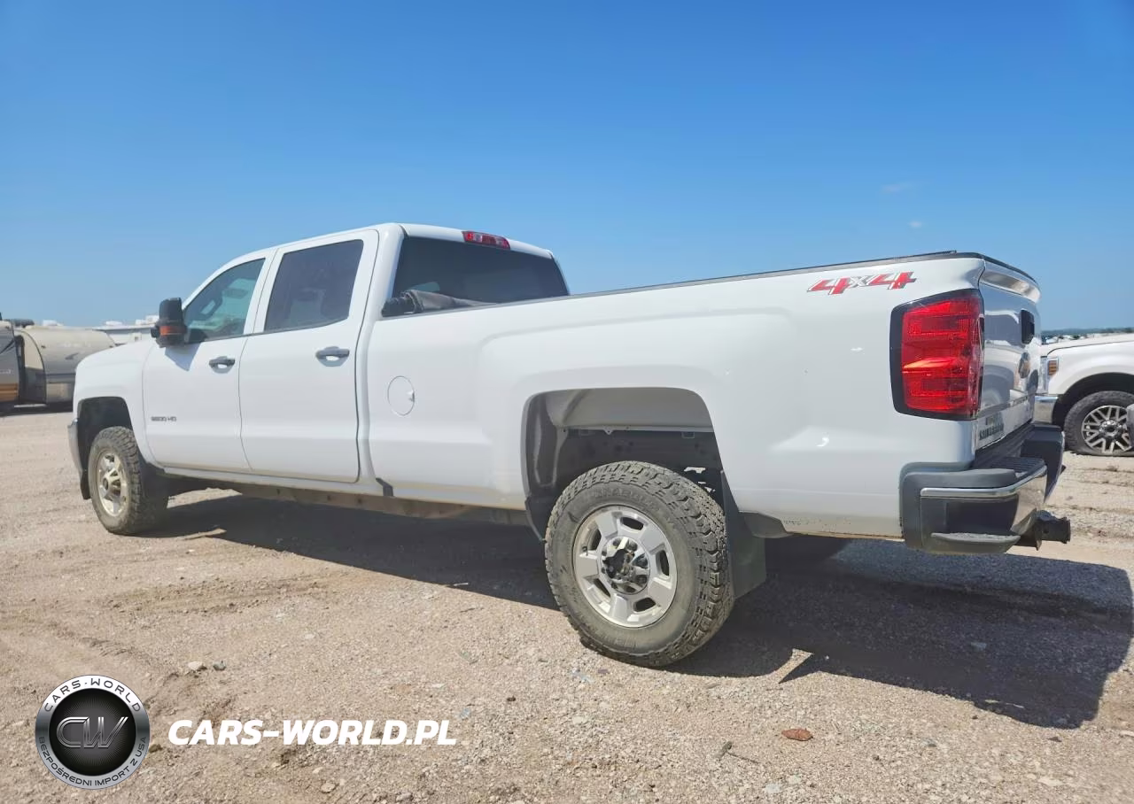 2019 Chevrolet Silverado K2500 Heavy Duty VIN:1GC1KREG6KF135993 - 2