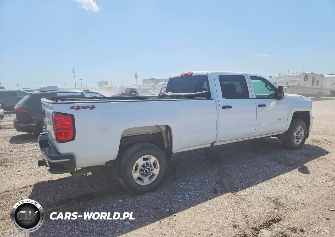 2019 Chevrolet Silverado K2500 Heavy Duty VIN:1GC1KREG6KF135993 - 3