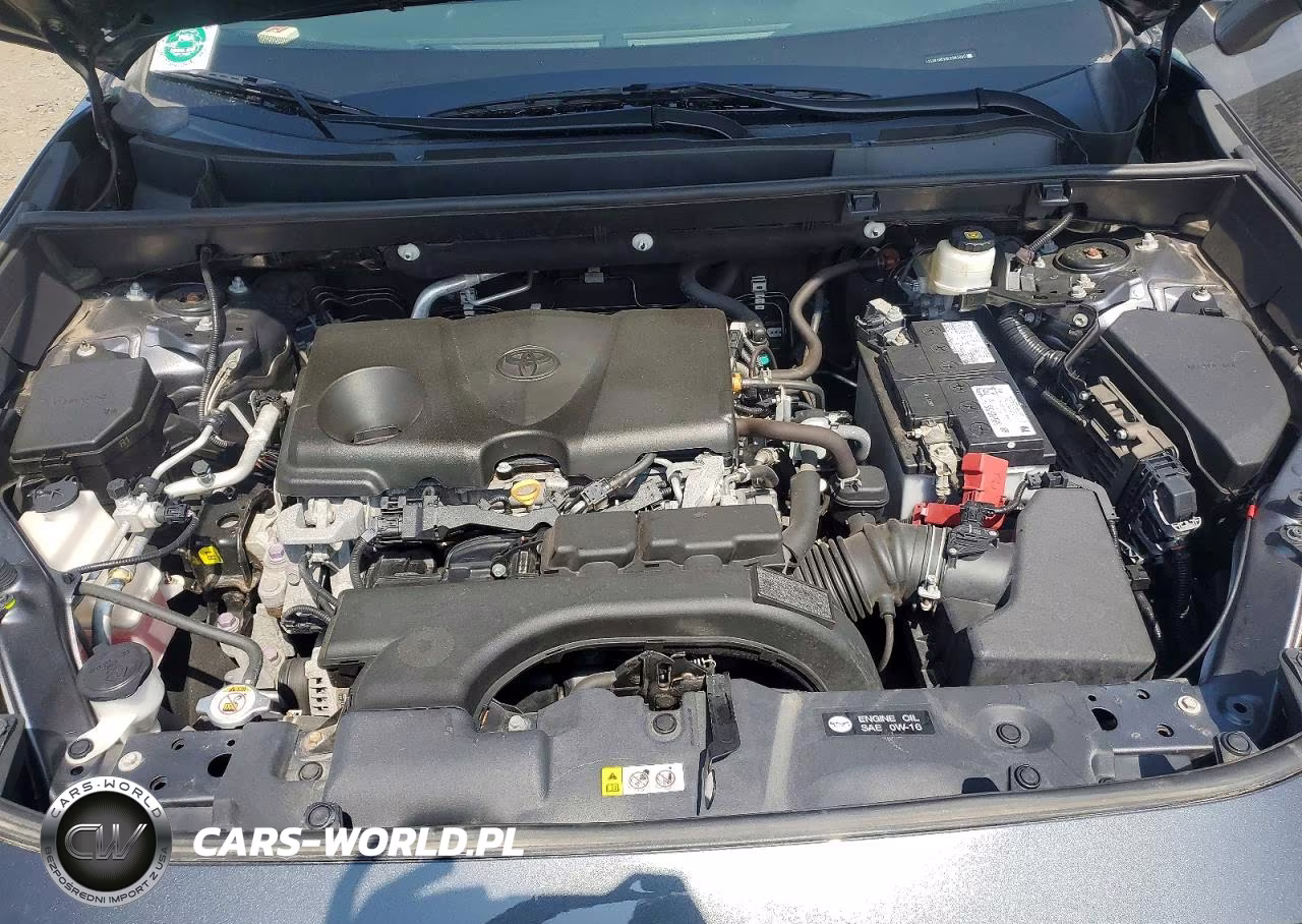 2020 Toyota Rav4 Xle VIN:2T3P1RFV9LC065000 - 11