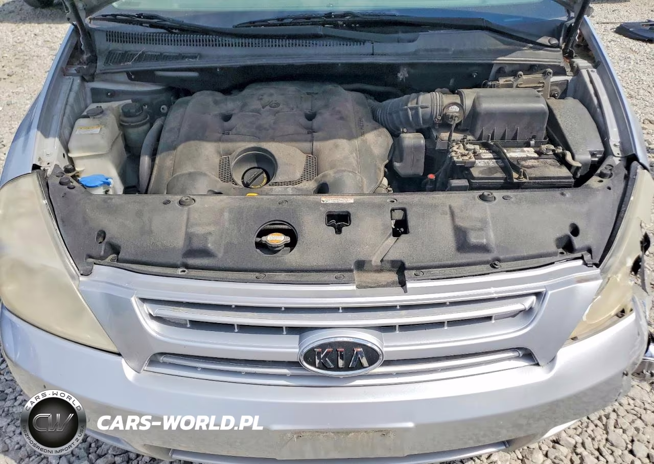 2008 Kia Sedona Lx VIN:KNDMB233986193917 - 12