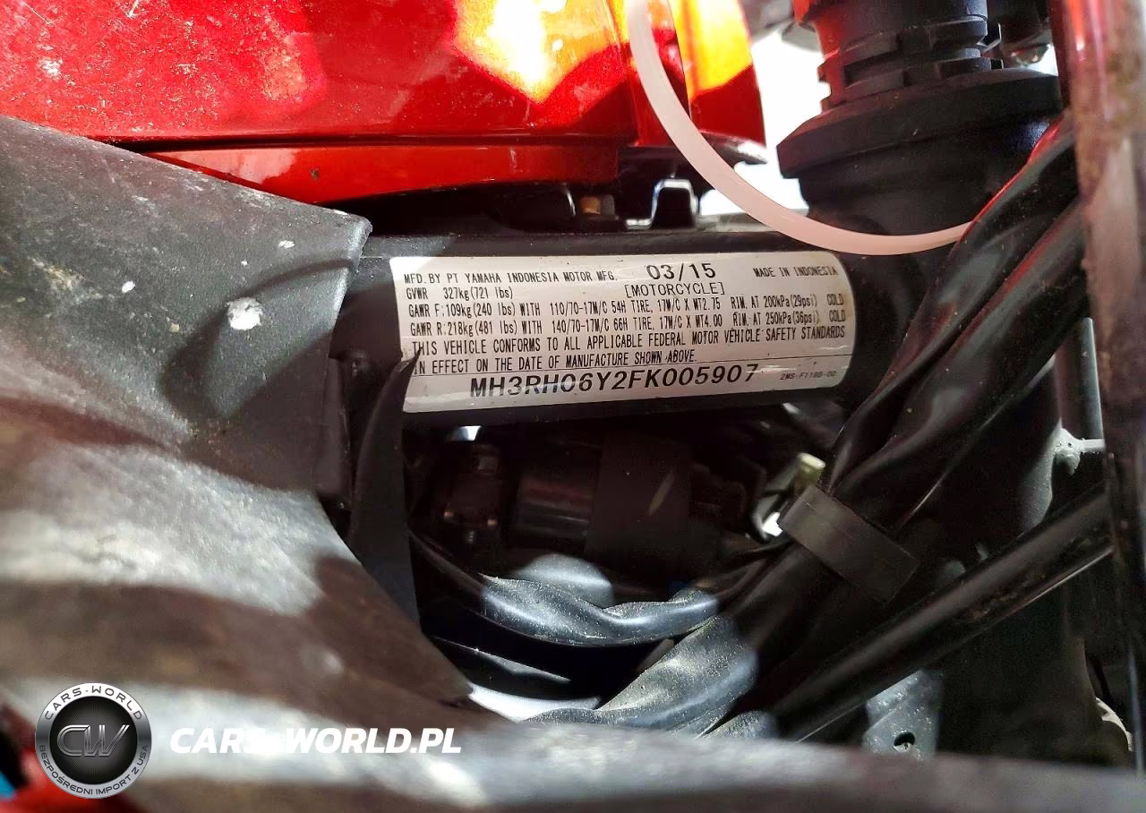 2015 Yamaha Yzfr3 VIN:MH3RH06Y2FK005907 - 9