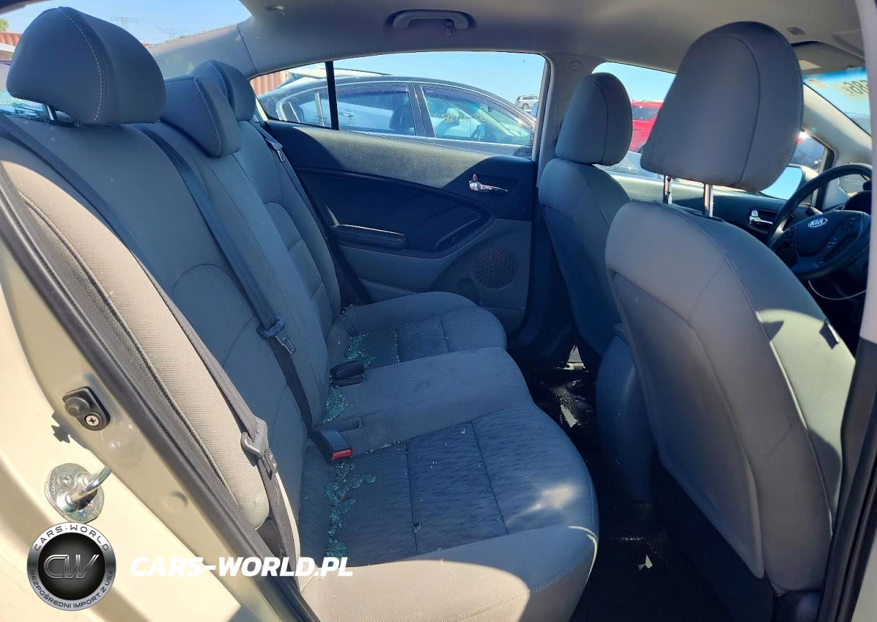 2014 Kia Forte Lx VIN:KNAFK4A67E5187033 - 10
