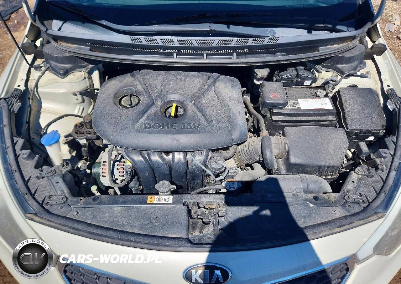 2014 Kia Forte Lx VIN:KNAFK4A67E5187033 - 11