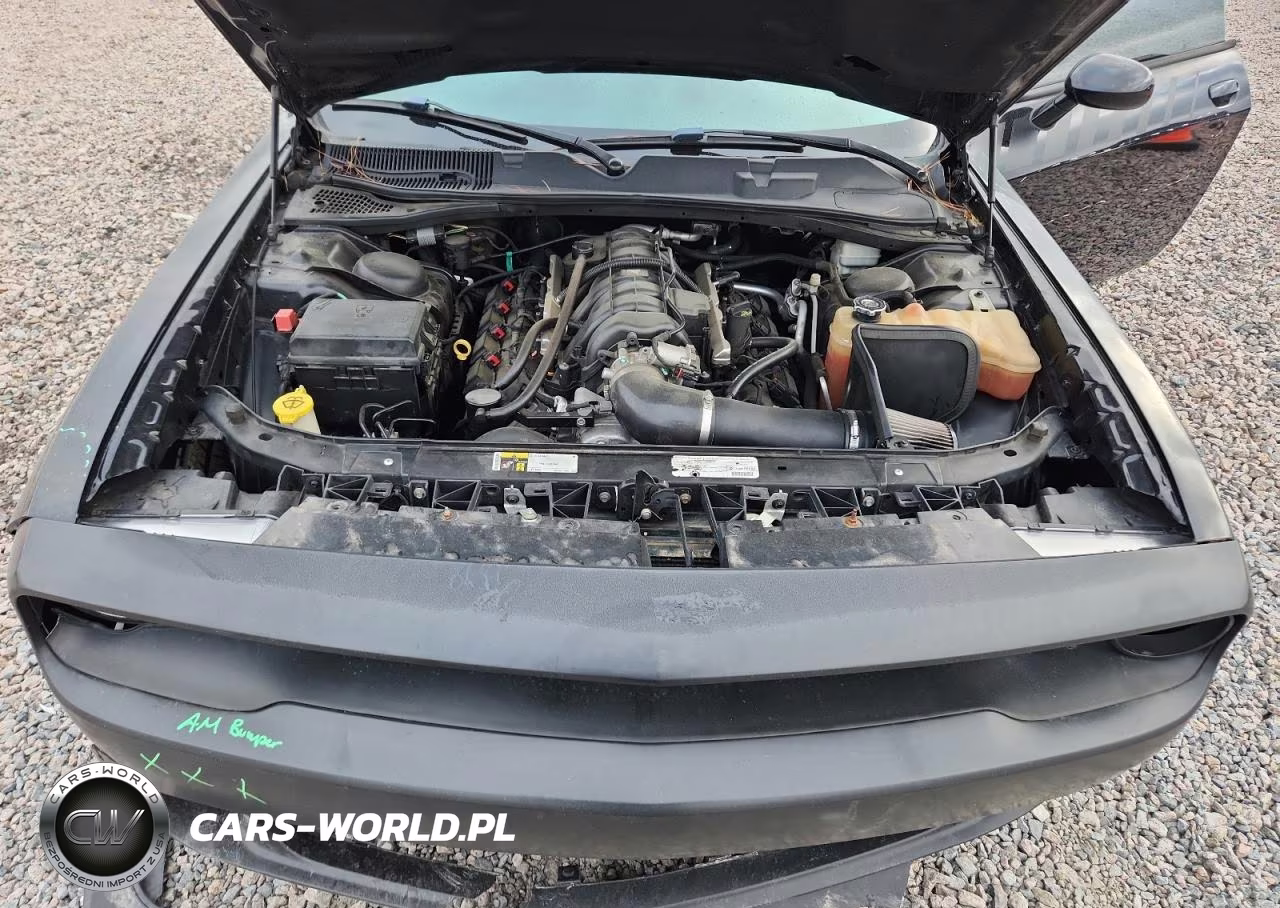 2014 Dodge Challenger R VIN:2C3CDYBT7EH285391 - 11