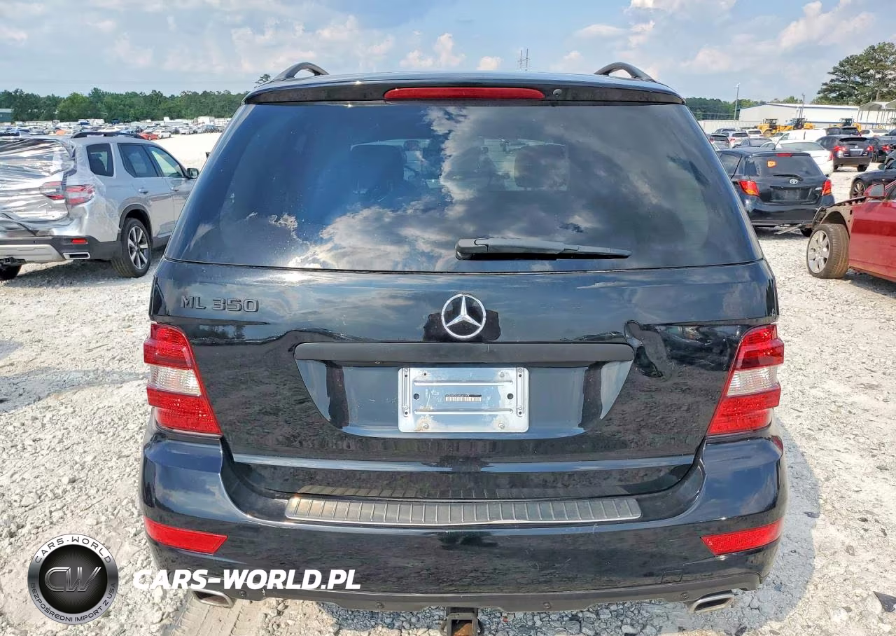 2010 Mercedes-Benz Ml 350 Bluetec VIN:4JGBB2FB5AA547411 - 6