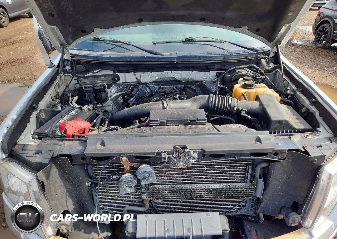 2011 Ford F150 Supercrew VIN:1FTFW1ET9BFD17938 - 11