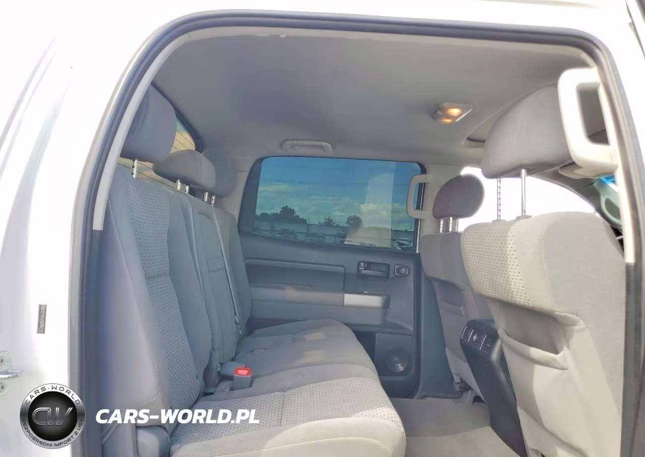 2009 Toyota Tundra Sr5 VIN:5TFDV54169X087183 - 10
