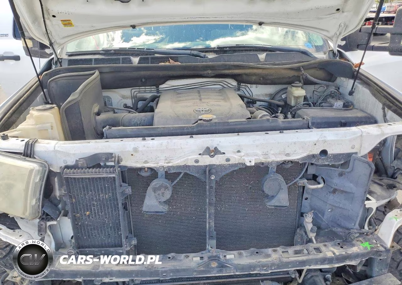2009 Toyota Tundra Sr5 VIN:5TFDV54169X087183 - 11