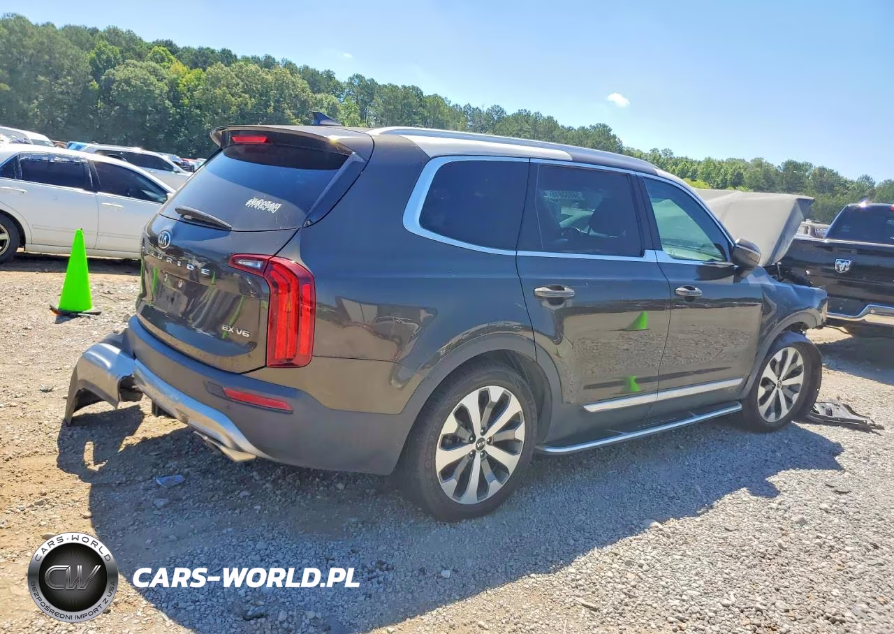 2020 Kia Telluride Ex VIN:5XYP34HC3LG066634 - 3