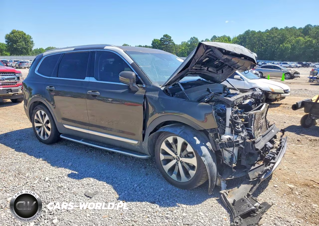 2020 Kia Telluride Ex VIN:5XYP34HC3LG066634 - 4