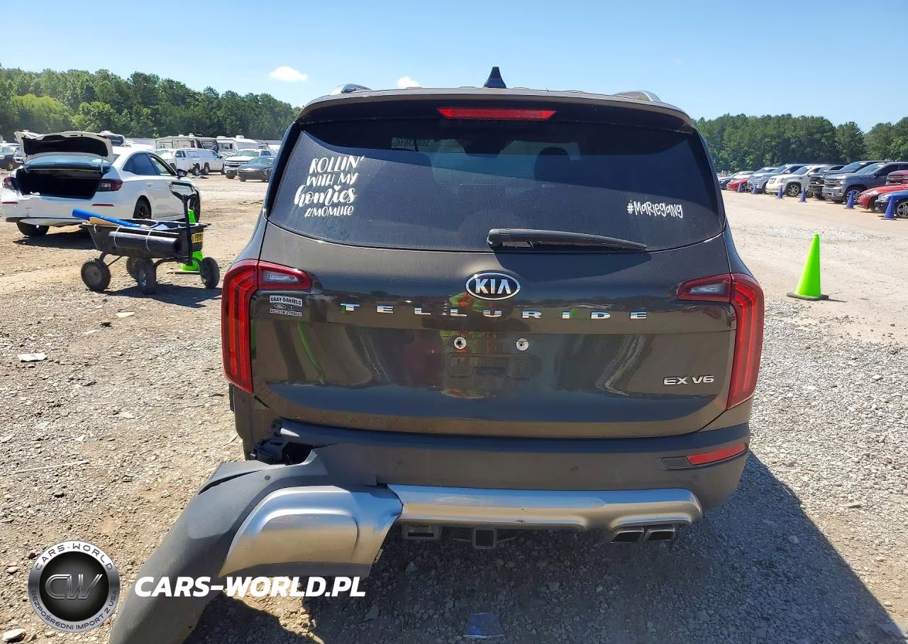 2020 Kia Telluride Ex VIN:5XYP34HC3LG066634 - 6