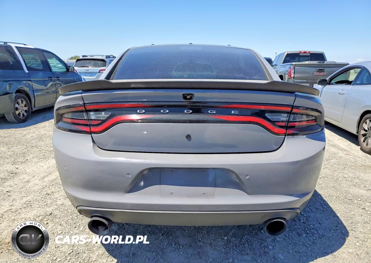 2017 Dodge Charger Police VIN:2C3CDXAG4HH660057 - 6