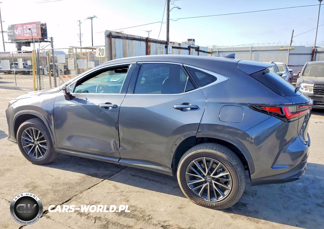 2024 Lexus Nx 250 VIN:2T2ADCAZ9RC009947 - 2
