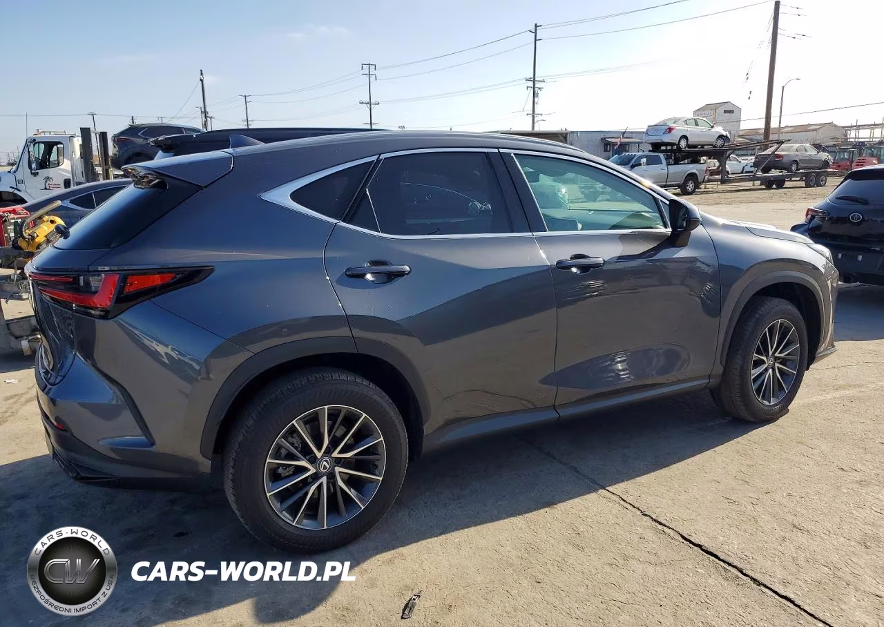 2024 Lexus Nx 250 VIN:2T2ADCAZ9RC009947 - 3