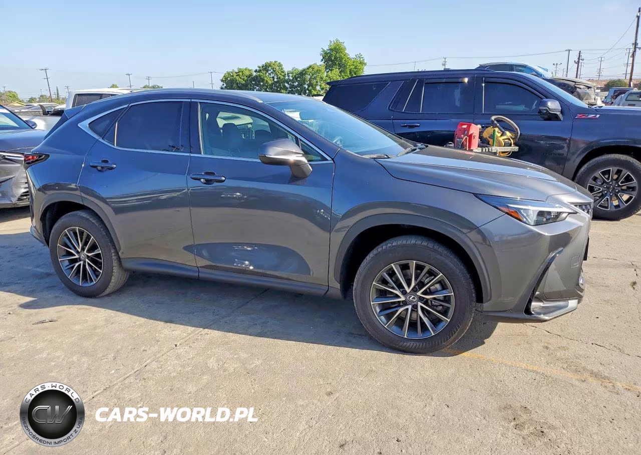 2024 Lexus Nx 250 VIN:2T2ADCAZ9RC009947 - 4