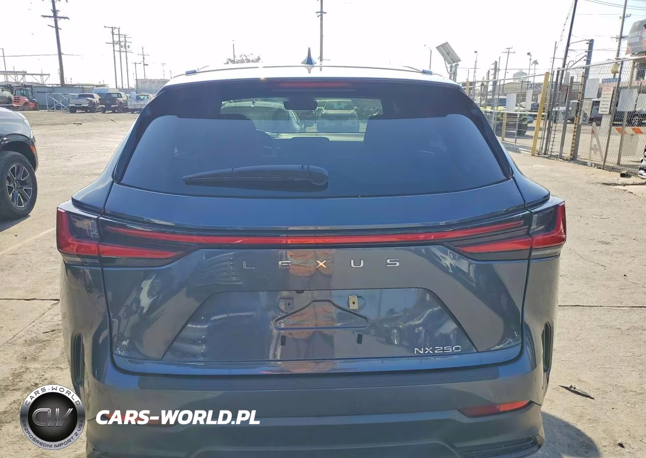 2024 Lexus Nx 250 VIN:2T2ADCAZ9RC009947 - 6